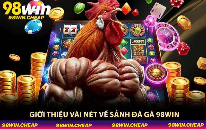 Giới thiệu vài nét về sảnh đá gà 98WIN